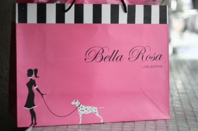 Bella-bag-old