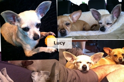 Lucy-collage