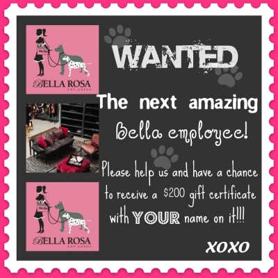 Wanted_bella_employee